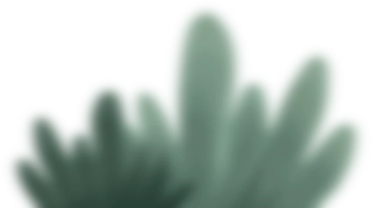 Sam Morgan Studio - decorative