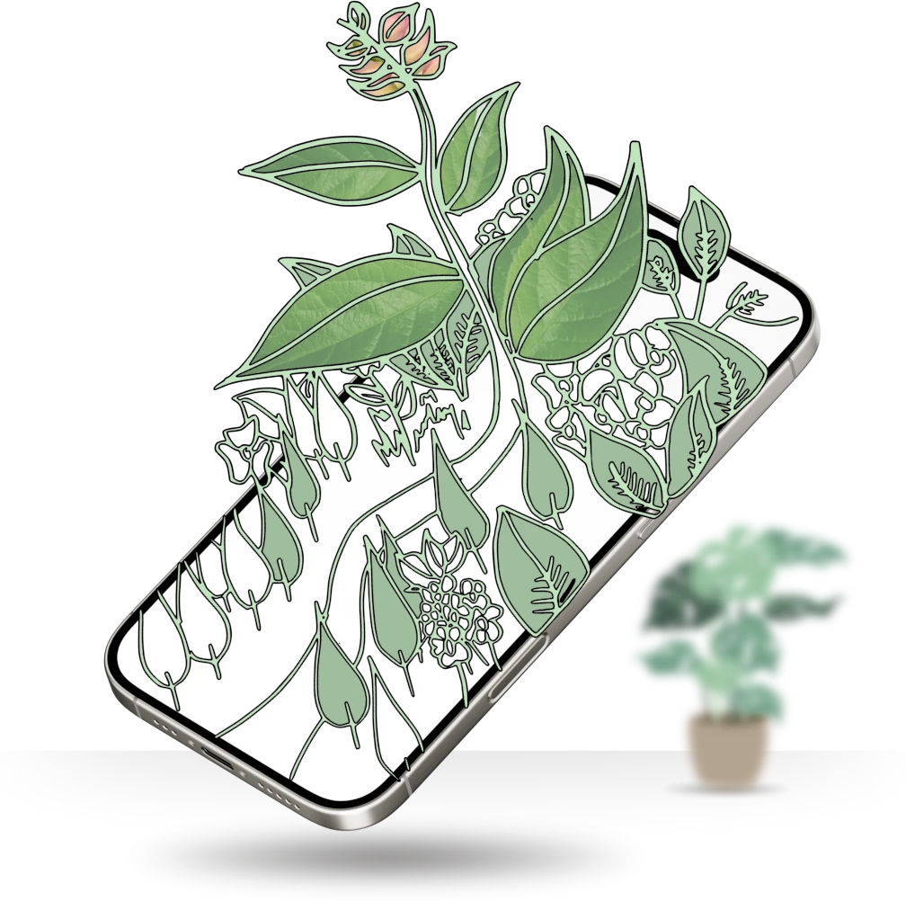 Sam Morgan Studio - Leaves coming out of a mobile phone