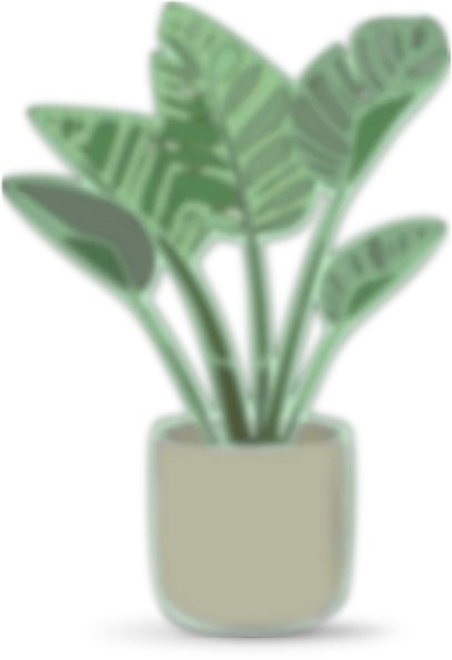 Sam Morgan Studio - decorative