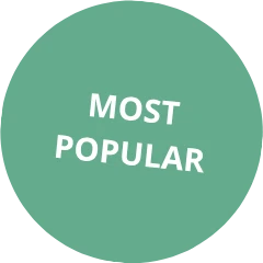 most popular icon
