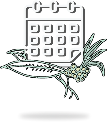 Event Management and Calendar icon