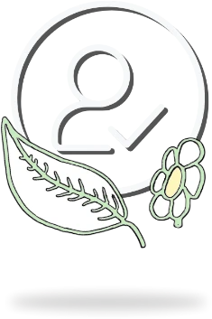 User & Volunteer Registration and Management icon