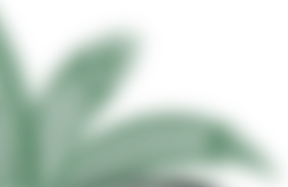 Sam Morgan Studio - decorative