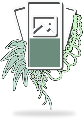 Beautiful Websites and Apps icon